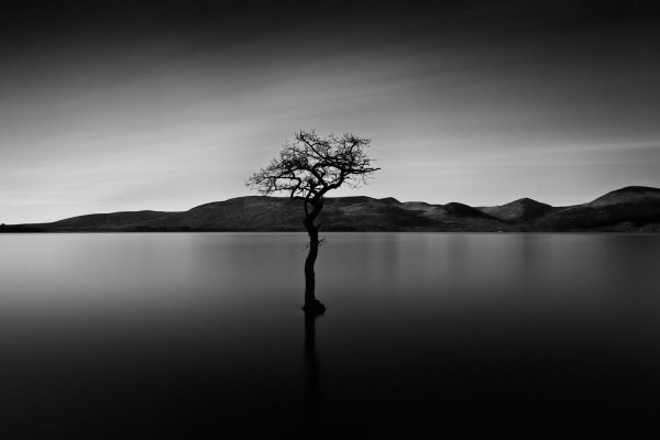 Пейзаж горы черно белый