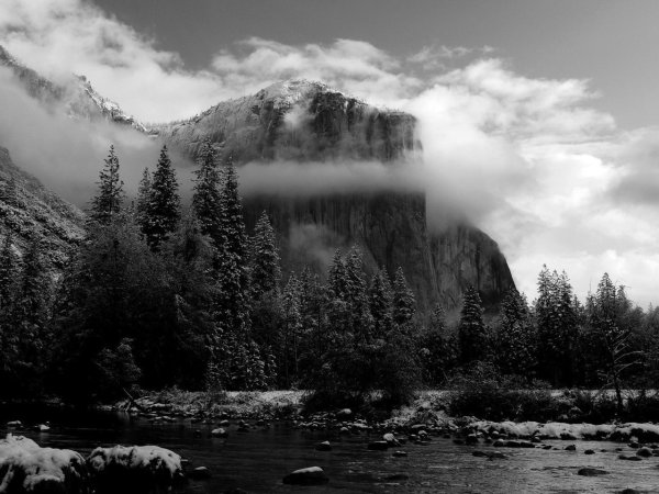 Черно белая природа