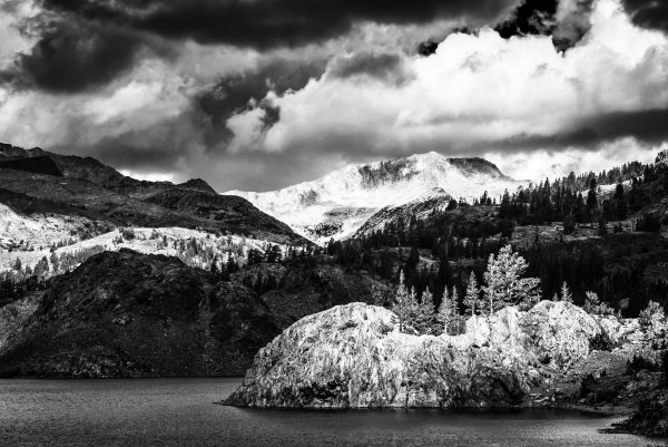 Черно белая природа