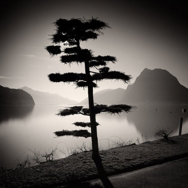 Пейзаж озеро черно-белый