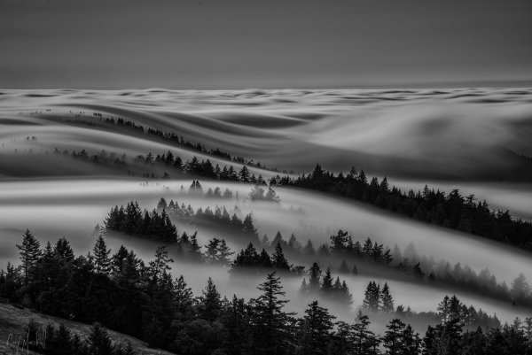 Пейзаж в черно белом цвете