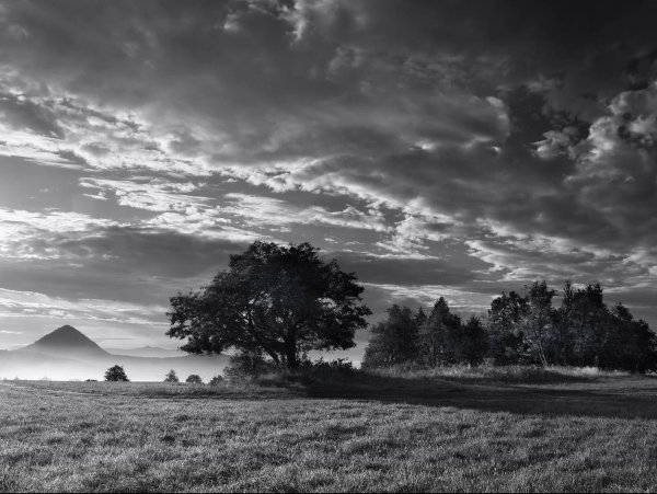 Пьер Пеллегрини