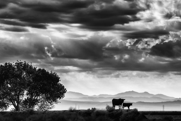 Горы и реки