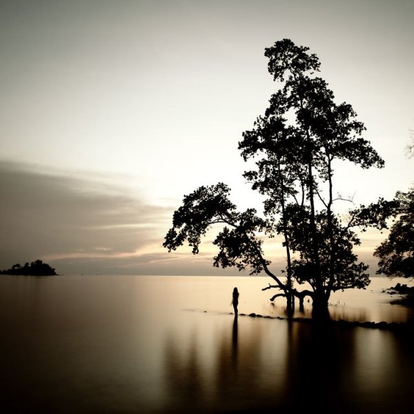 Пьер Пеллегрини