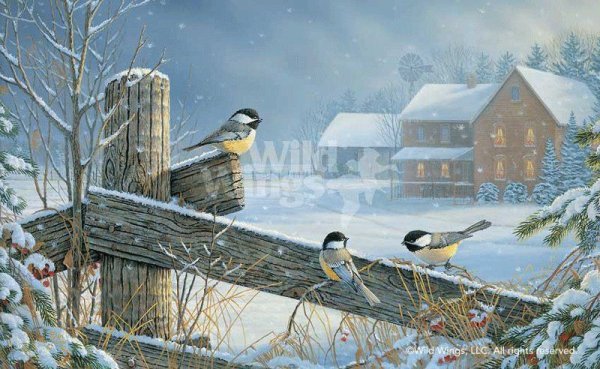 Зимующие птицы на кормушке