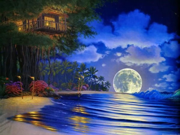 Сказочный Волшебный зимний лес