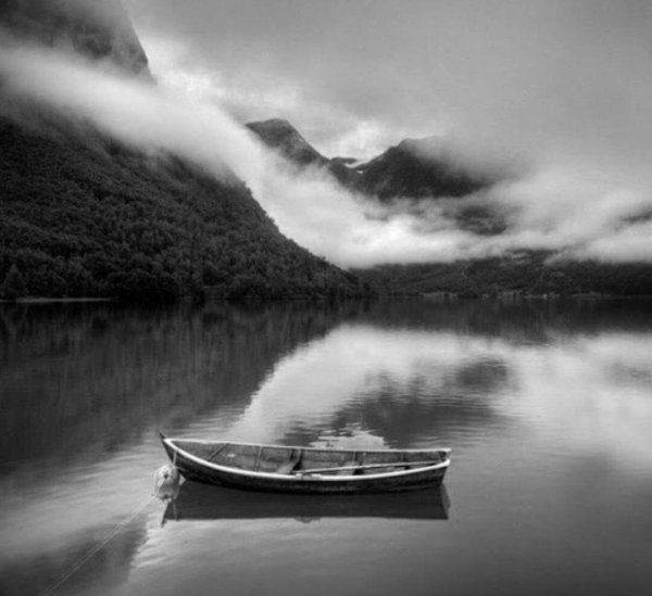 Красивый пейзаж черно белый