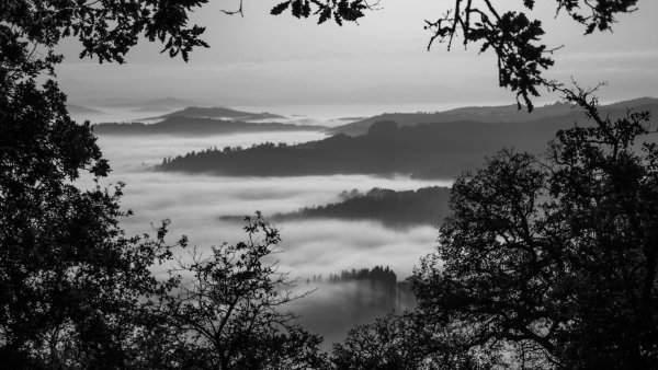 Красивый пейзаж черно белый