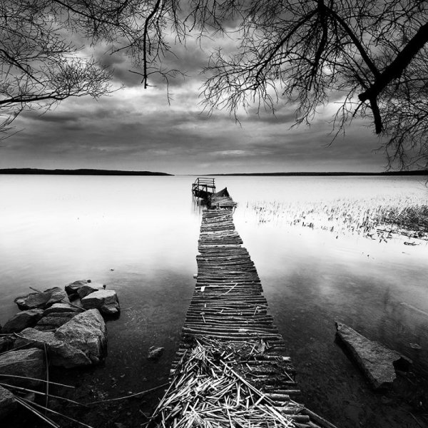 Чёрно-белый пейзаж