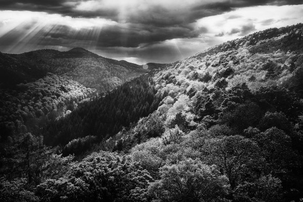 Черно белый пейзаж