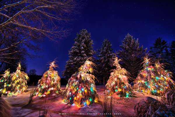Чак Пинсон зимний город