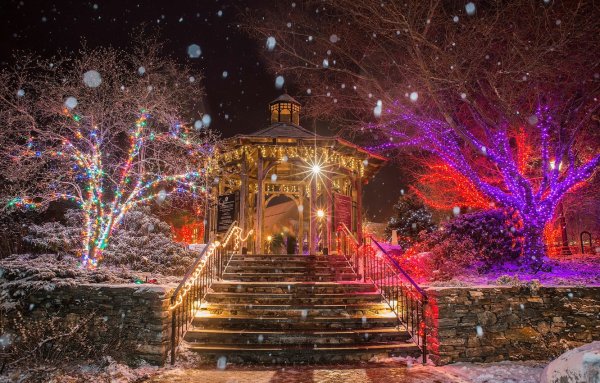 Красивые новогодние сюжеты