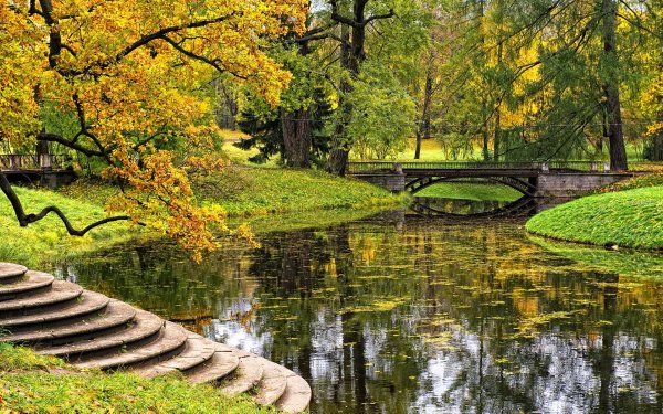 Пейзаж Петербургский парк