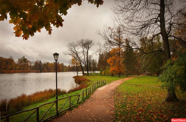 Гатчина городской парк осенью