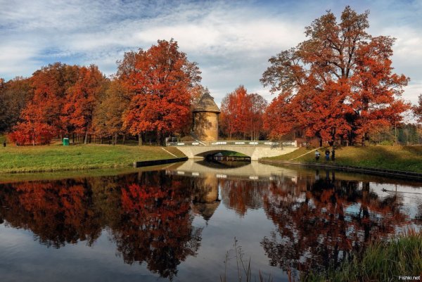 Павловский парк осенью Санкт-Петербург