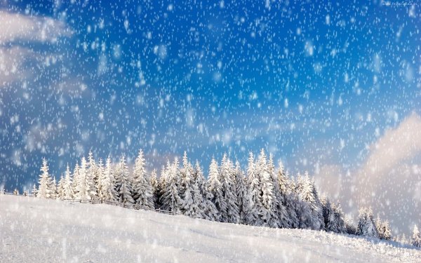 Явления природы снег