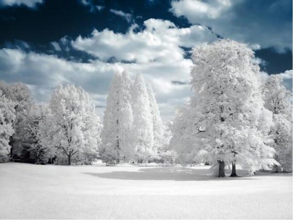 Падающий снег