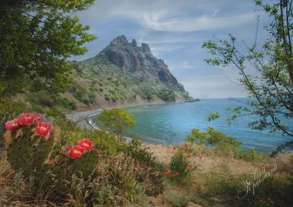 Крымский полуостров природа