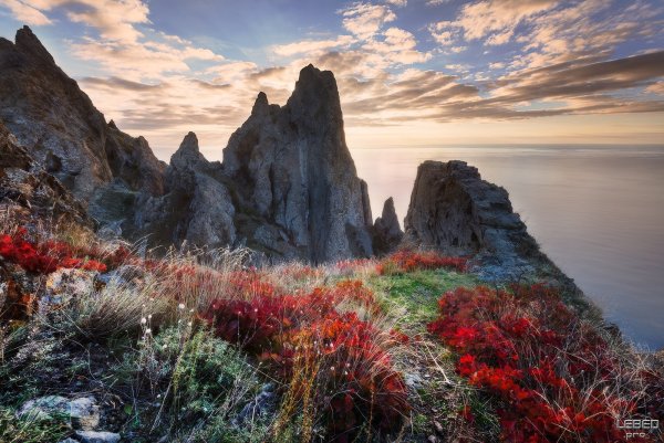 Крым Карадаг Весна