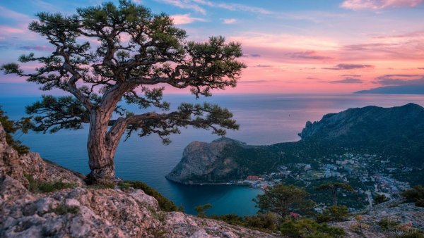 Мыс Фиолент природа