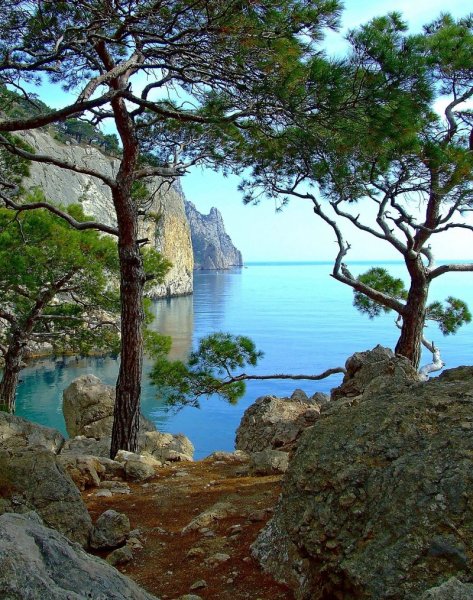 Новый свет Крым