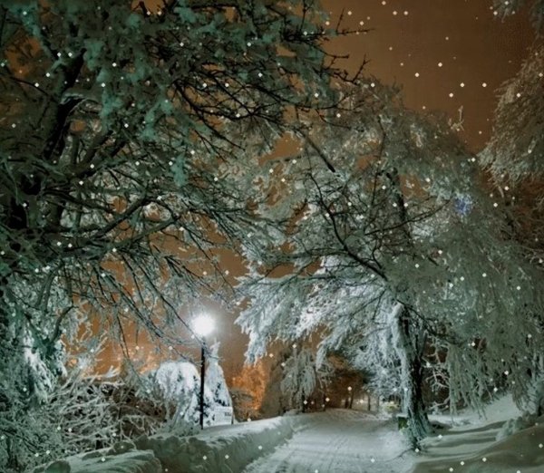 Зимний пейзаж с падающим снегом