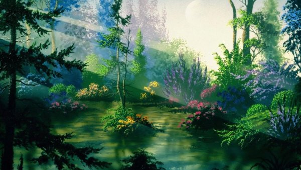 Сказочные пейзажи леса