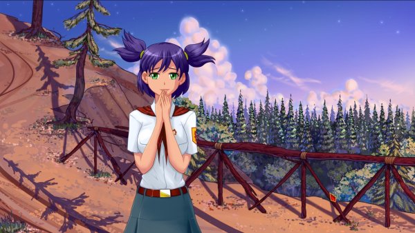 Бесконечное лето ночь