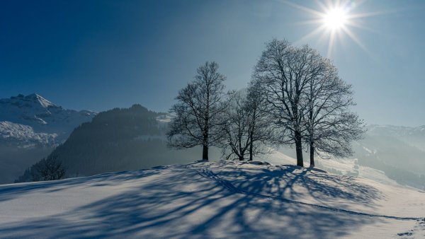 Зима пейзаж