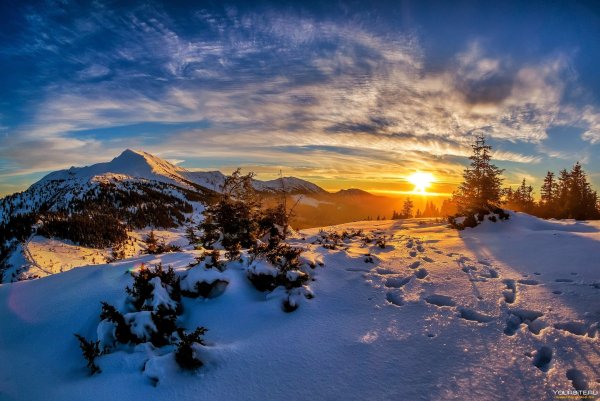 Зимний день