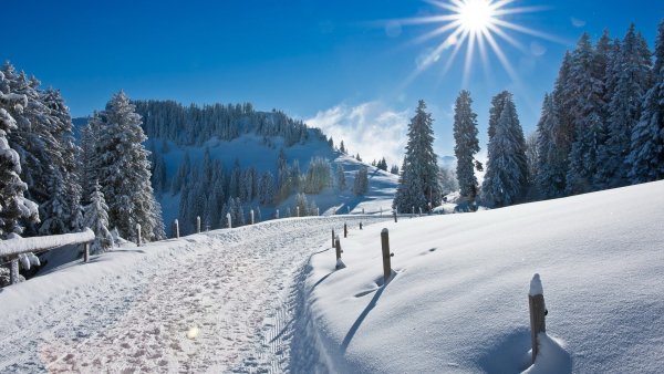 Морозное утро