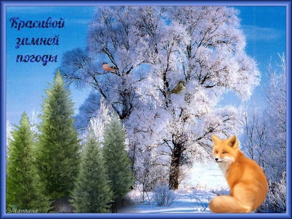 Художник Владимир Воробьев. Зимние пейзажи