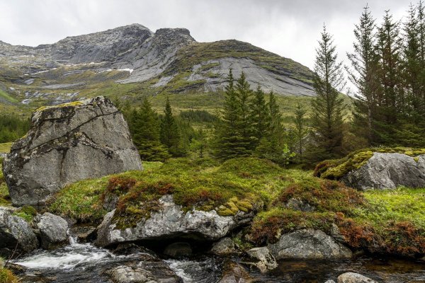 Нордический пейзаж