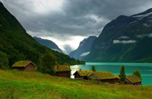 Зеленая кровля в Норвегии