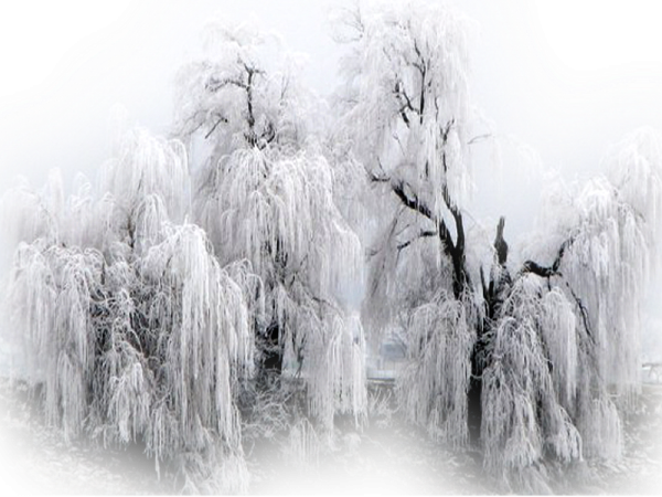 Весенний пейзаж на прозрачном фоне