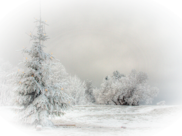 Новогодние пейзажи на прозрачном фоне