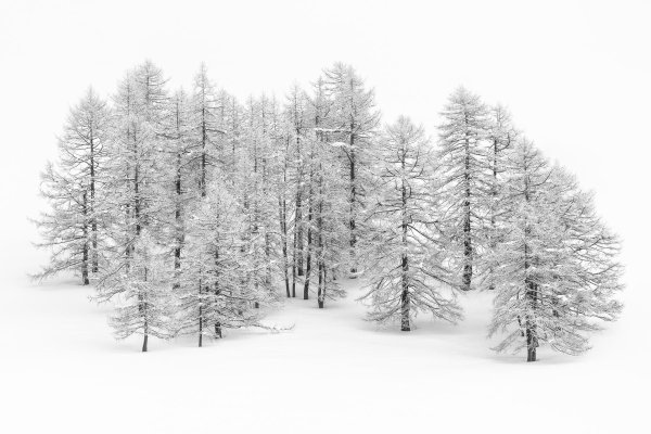 Зима клипарт