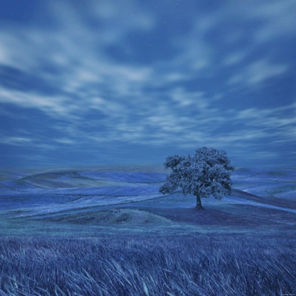 Пейзаж в синих тонах