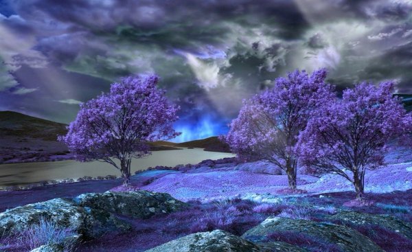 Морской пейзаж в синих тонах