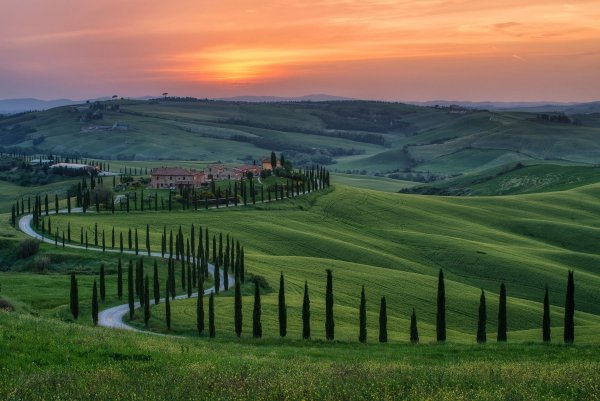 Тоскана холмы кипарисы