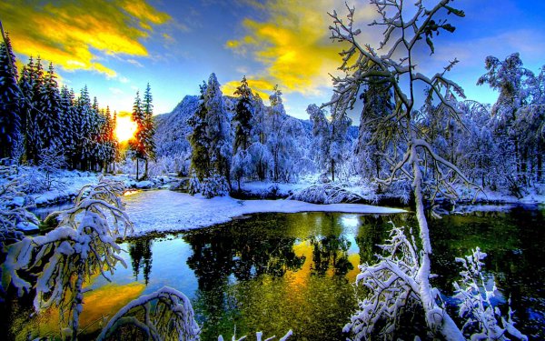 Зимняя природа