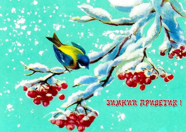 Чудесной зимы