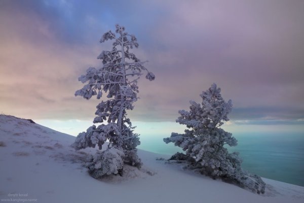 Хорошего зимнего дня