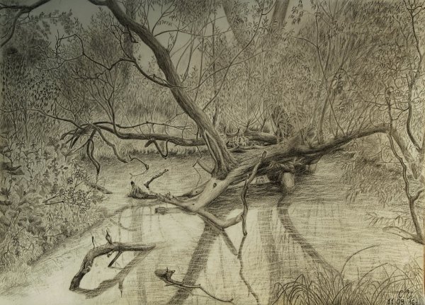 Реалистичный пейзаж карандашом