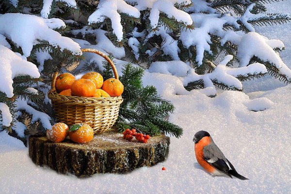 Весна в январе