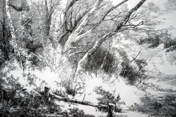 Пейзаж карандашом