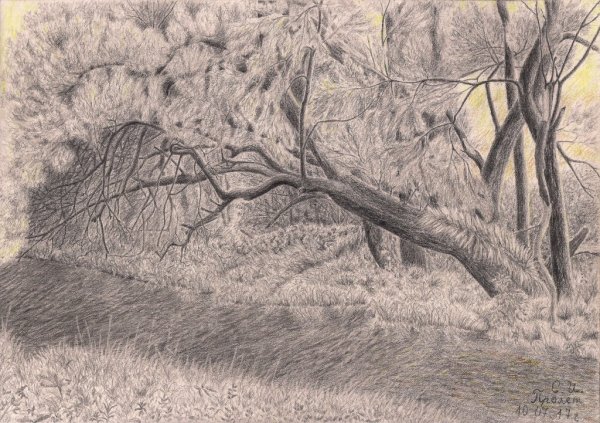 Пейзаж карандашом