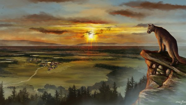 Природа арт с животными