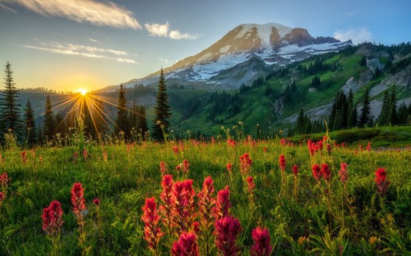 Солнце пейзаж