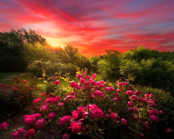 Лето солнце горы